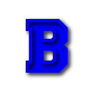 Bradford Academy High School logo